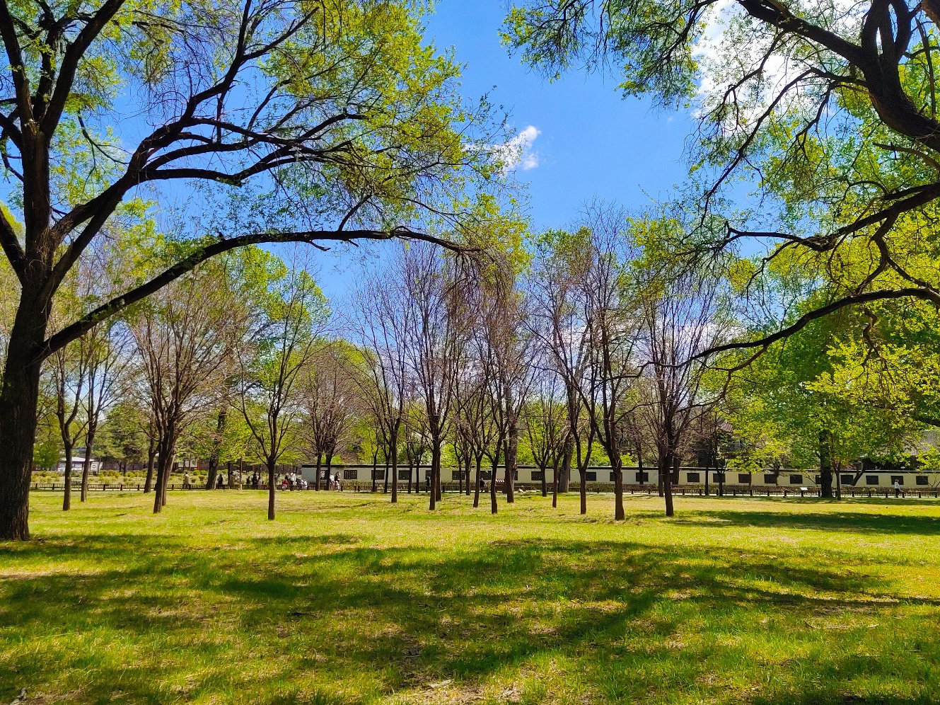 承德市承德避暑山莊及周圍寺廟景區