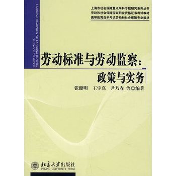 勞動標準與勞動監察：政策與實務