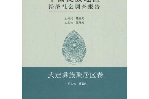 中國民族地區經濟社會調查報告-武定彝族聚居區卷