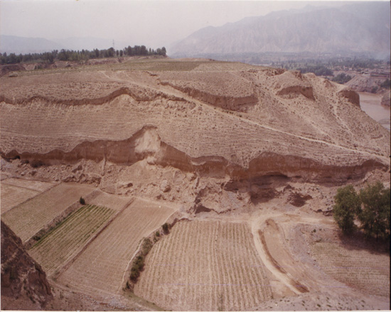 馬廠塬遺址