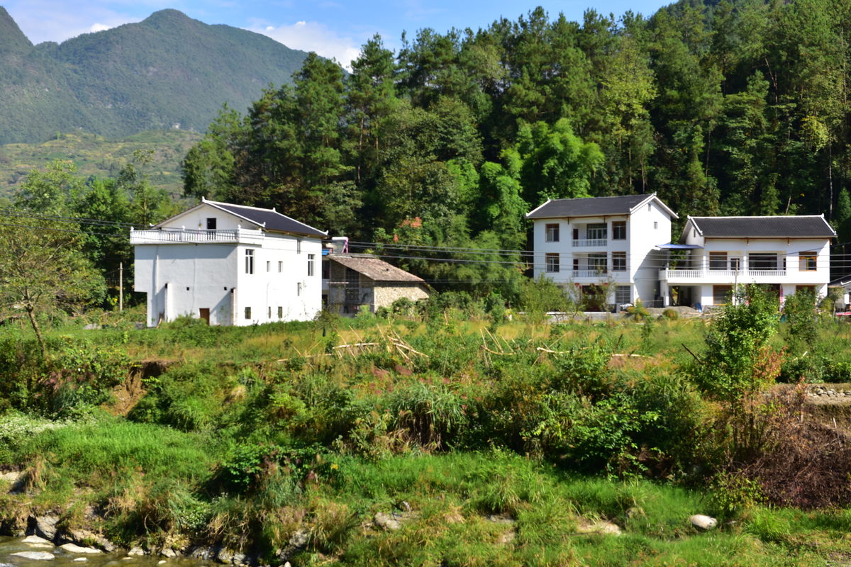 胡村(浙江省麗水市縉雲縣胡村)