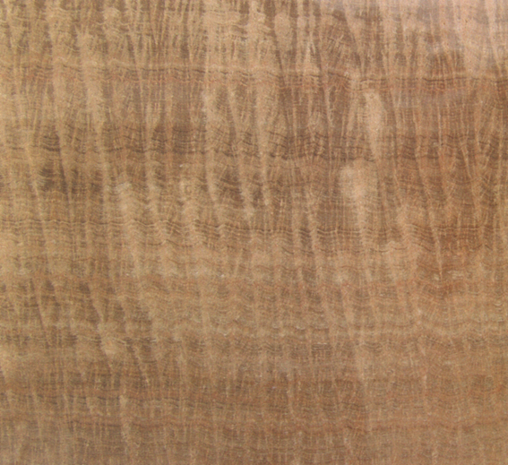 柚木紋 | Teakwood Grain |