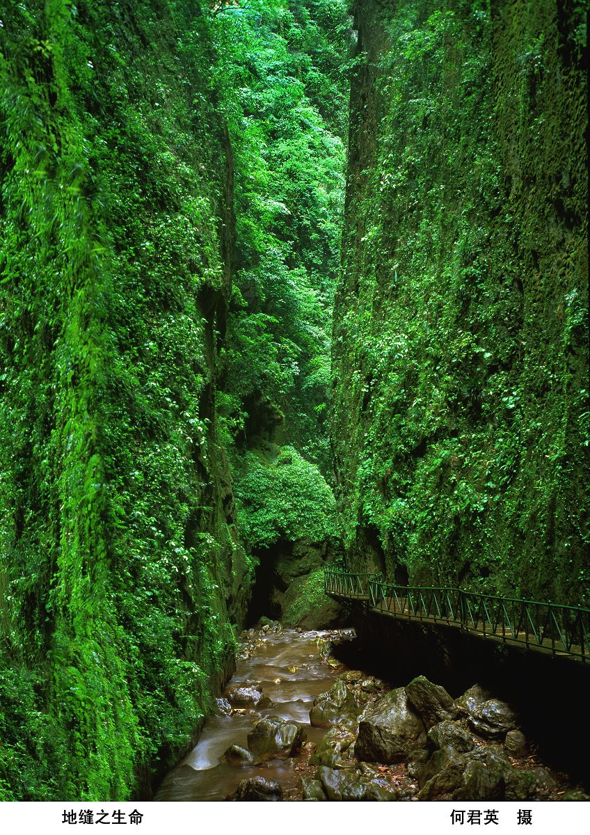 會澤大地縫