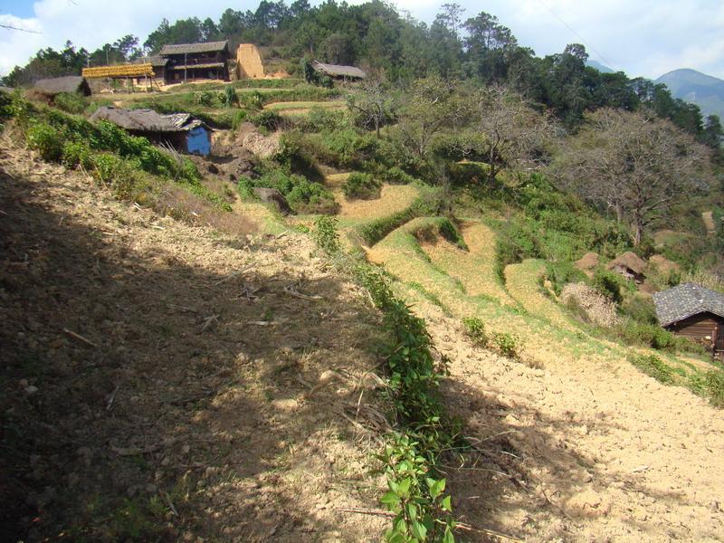 密西坡自然村