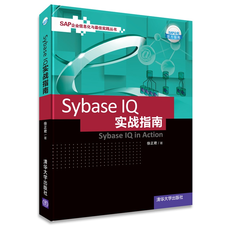 Sybase IQ 實戰指南