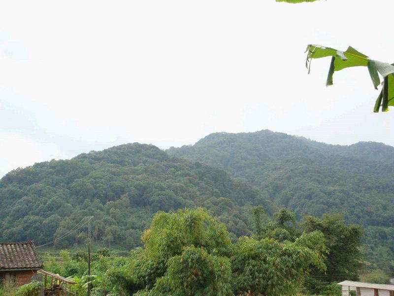 養豬場自然村