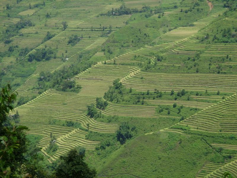 村中田園