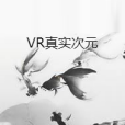 VR真實次元