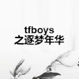 tfboys之逐夢年華