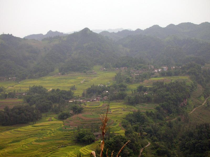 桐梓村(雲南鹽津縣普洱鎮下轄村)