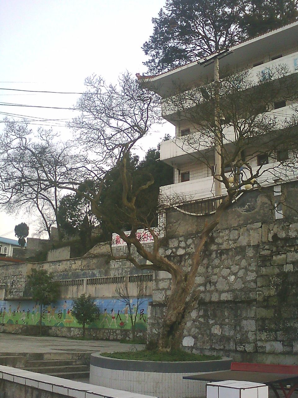 紫雲開元實驗學校