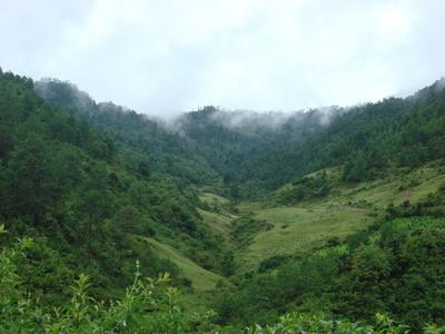 大板場村