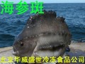 海參斑