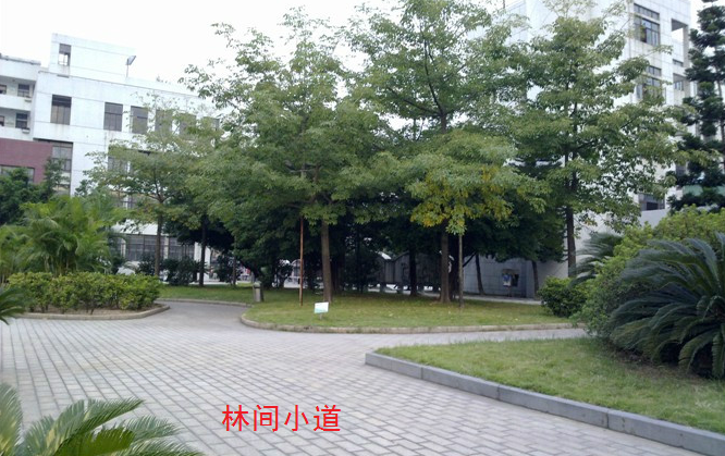 閩江學院軟體學院