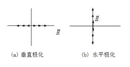 圖1 線極化