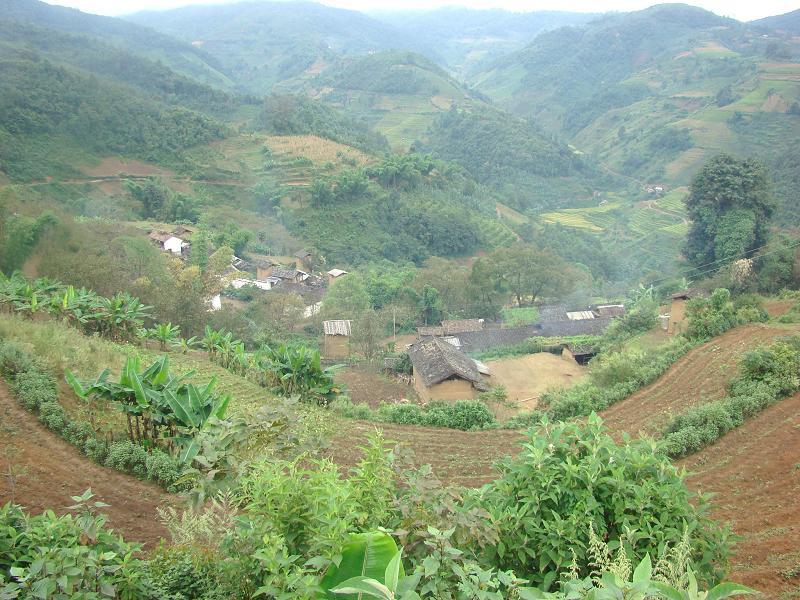 杞木林村(雲南昌寧縣田園鎮下轄村)