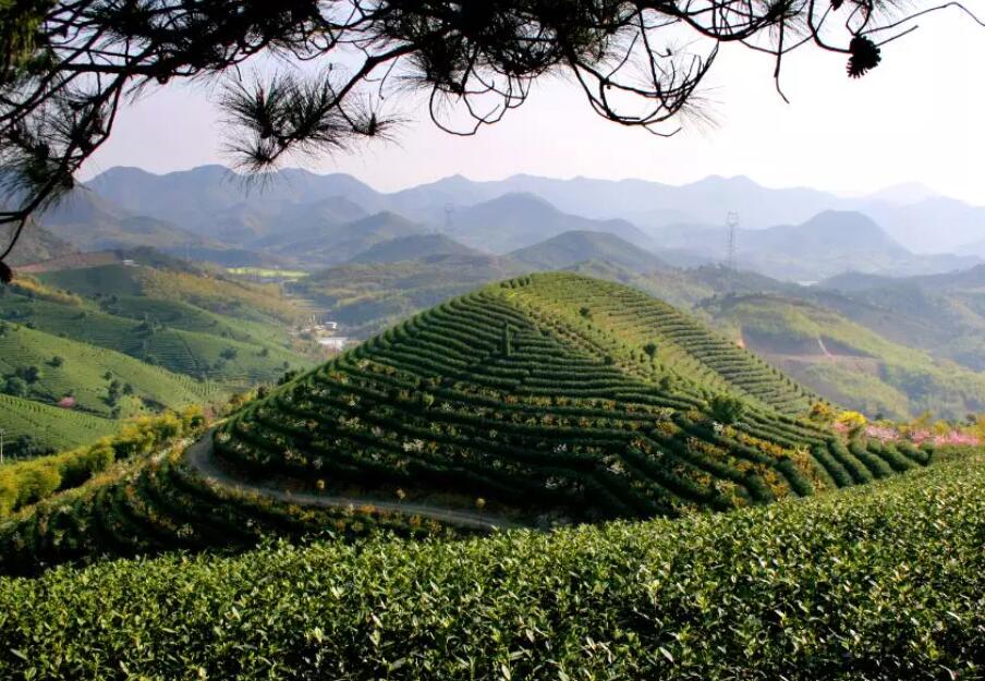 湖州長興水口茶文化景區