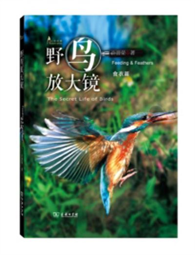 野鳥放大鏡：食衣篇