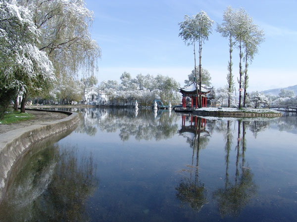 青海大通公園