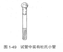 生理化鑑定