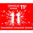 Oracle 11g 簡化版