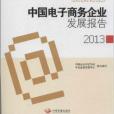 中國電子商務企業發展報告