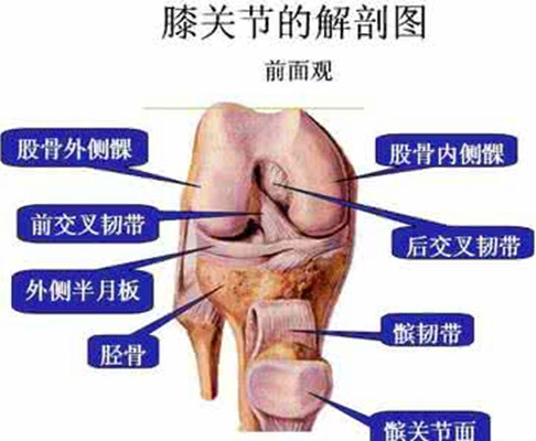 彈響膝