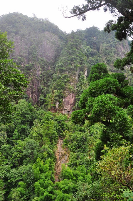 九龍村(福建永安市上坪鄉下轄村)