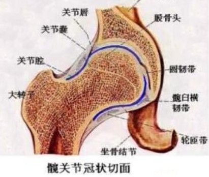 五步再生療法