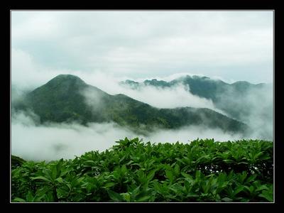 西坑村