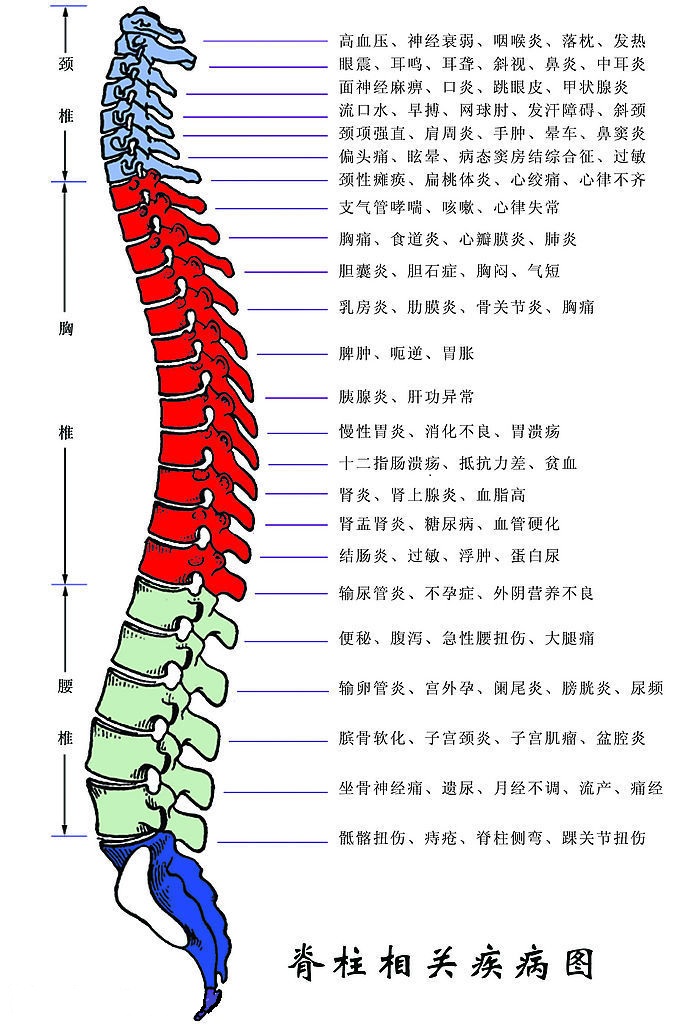 吳氏正椎