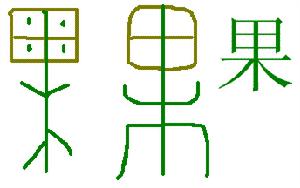 合體象形字“果”