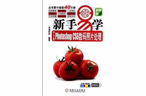 中文版Photoshop CS6數碼照片處理