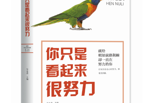 你只是看起來很努力(2019年百花洲文藝出版社出版的圖書)