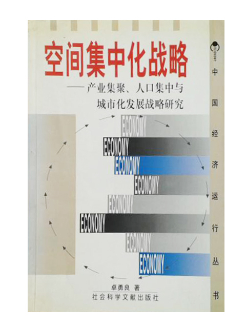 空間集中化戰略-產業集聚、人口集中與城市化發展戰略研究