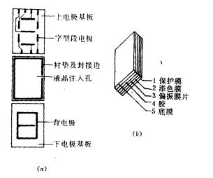 液晶顯示器結構（a）液晶器件結構 （b）偏振片結構