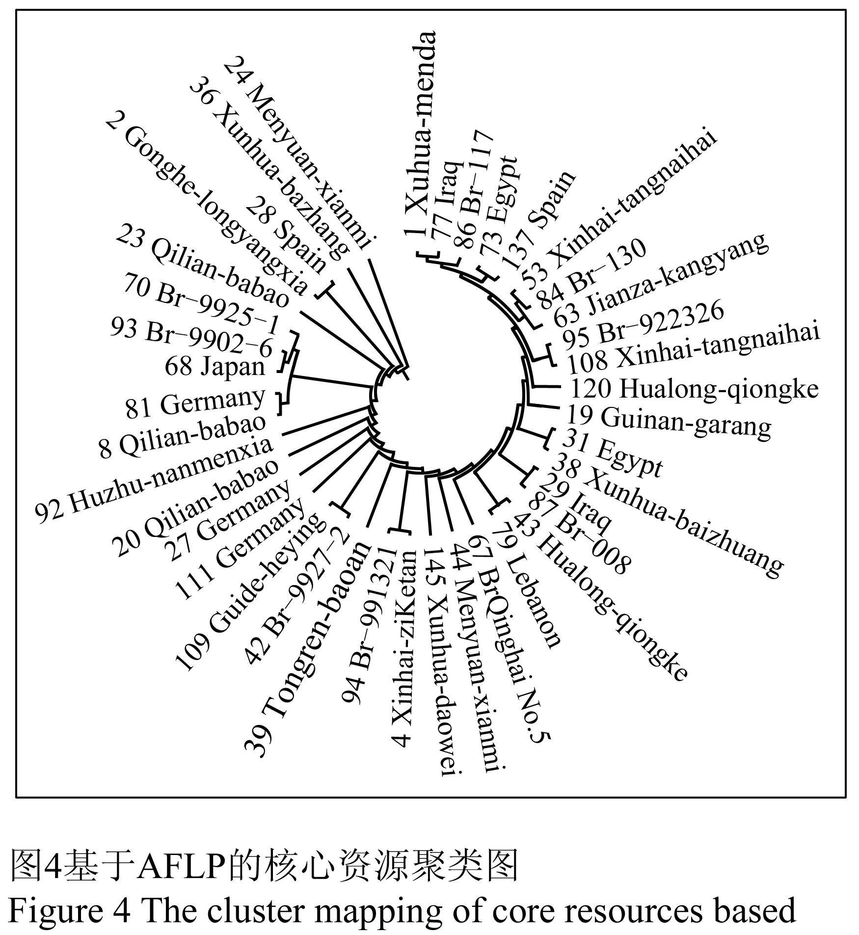 核心種質