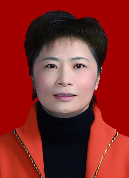 何婧(廣東省雲浮市人民政府副市長)