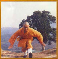 鷹爪拳