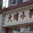 大塘國小(安徽省安慶市樅陽縣錢橋鎮大塘村大塘國小)