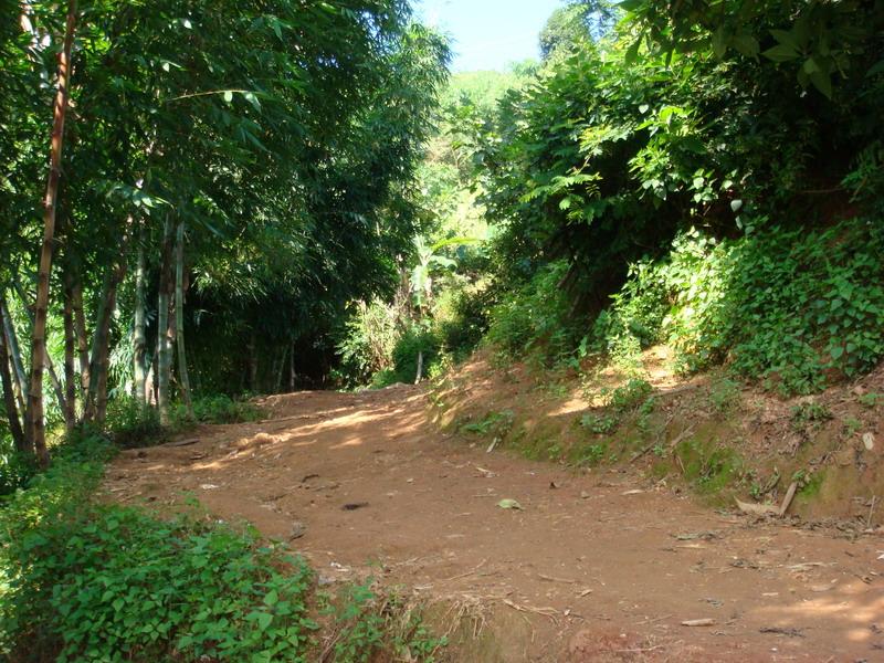 進村道路