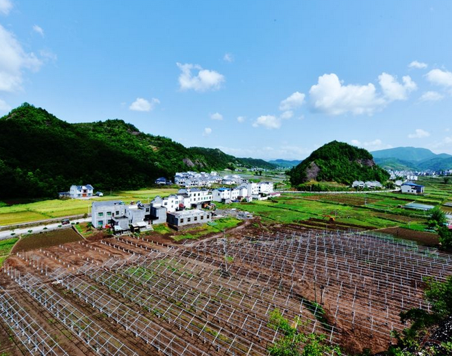 靈秀竹山