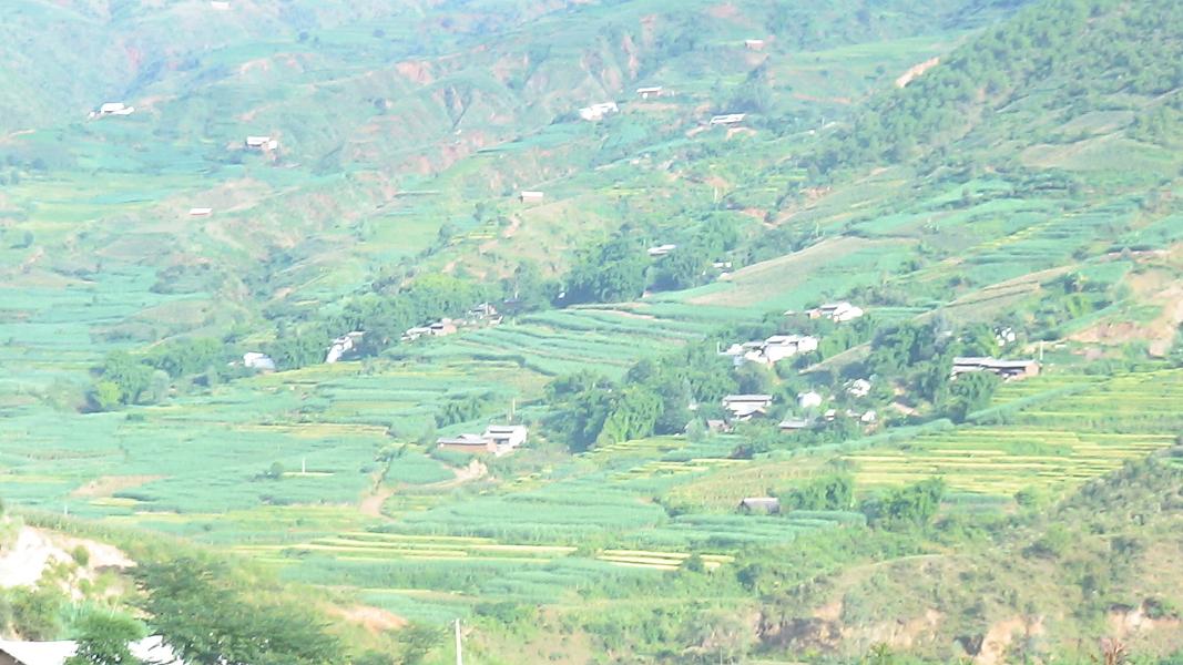 里長村(雲南省永勝縣濤源鄉下轄村)