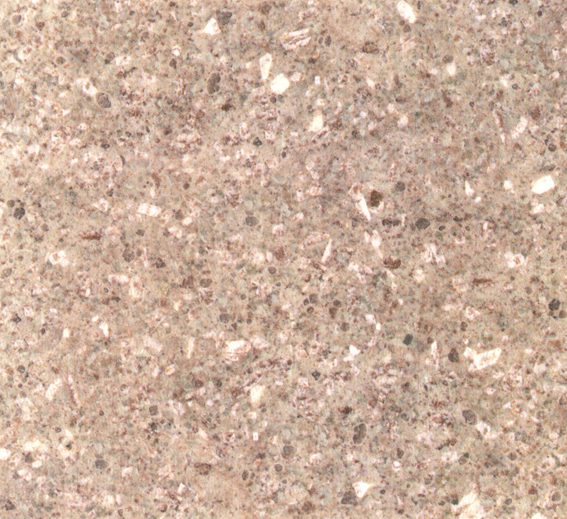 Tianshan Beige