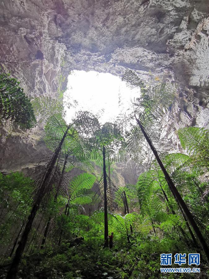 那坡天坑群