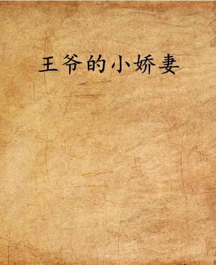 王爺的小嬌妻(莫小創作的網路小說)