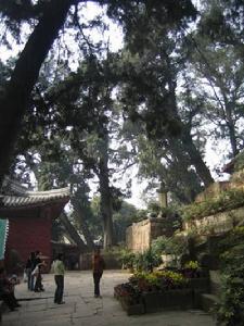 七曲山國家森林公園