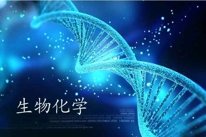 生物化學(浙江工業大學建設的慕課)