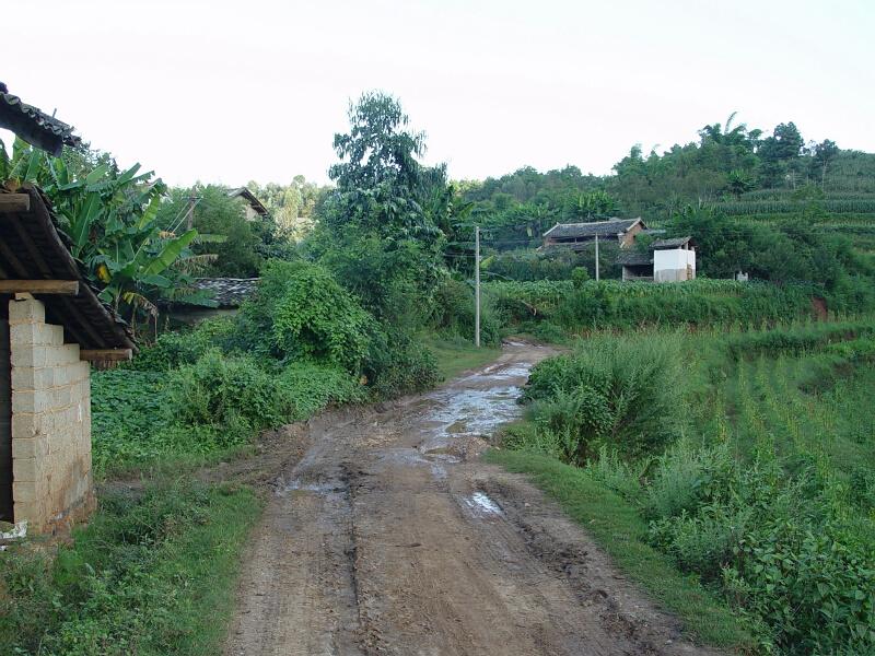 集中村通村公路