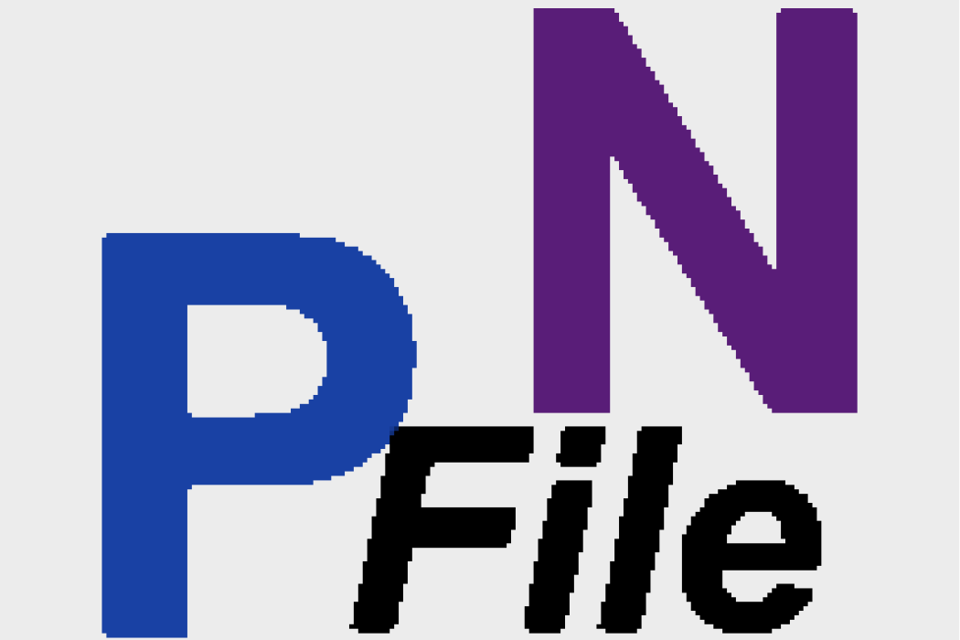 PNFile